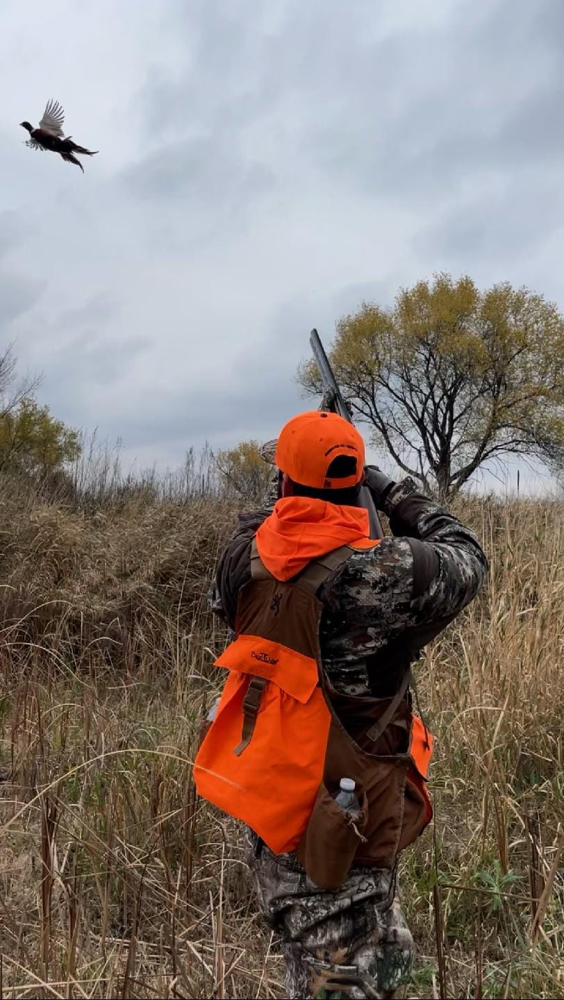 Pheasant hunting